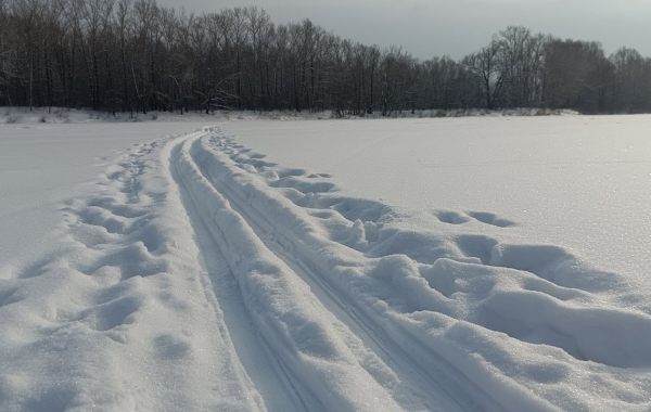 Беговая лыжная трасса в парке отдыха Водный - достопримечательности