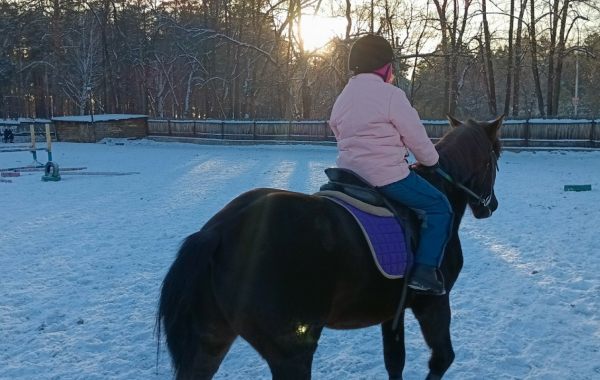 Катание на лошадях в Зенковском парке - достопримечательности