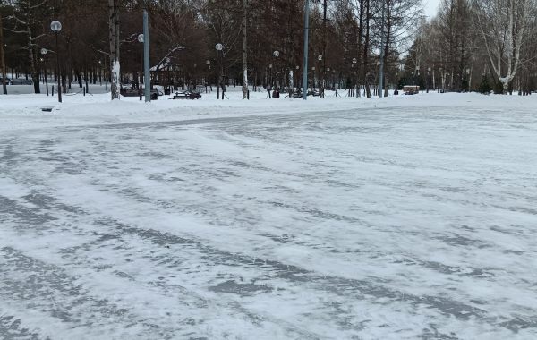 Ледовый открытый каток в Центральном парке - достопримечательности