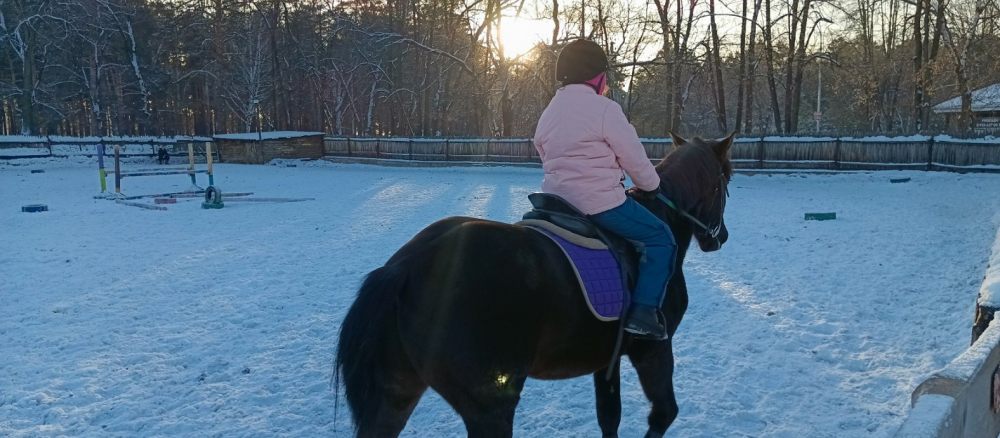 Катание на лошадях в Зенковском парке стоимость - Прокопьевск