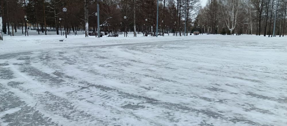 Ледовый открытый каток в Центральном парке стоимость - Белово