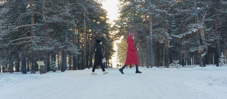 Тюбинг спуски в Зенковском парке стоимость - Прокопьевск