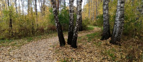 База отдыха Лесная республика стоимость - Новокузнецк