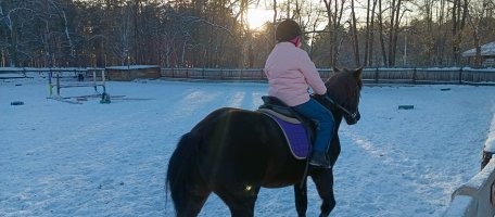 Катание на лошадях в Зенковском парке