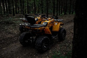 Катание на квадроциклах в Эко-парке Таежный стоимость - Новокузнецк